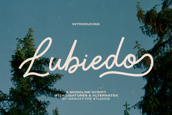 Lubiedo: An Elegant Script Font for Editorial Design