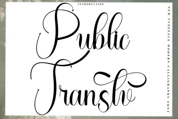 Public Transtv: A Festive Font That Makers Will Adore
