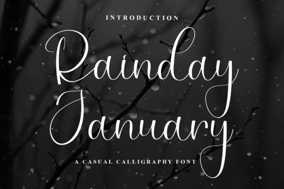 Rainday January: A Whimsical Script Font for Handmade Brands