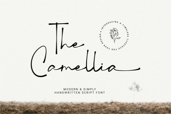 The Camellia Font: A Delicate Script That Earns Its Place